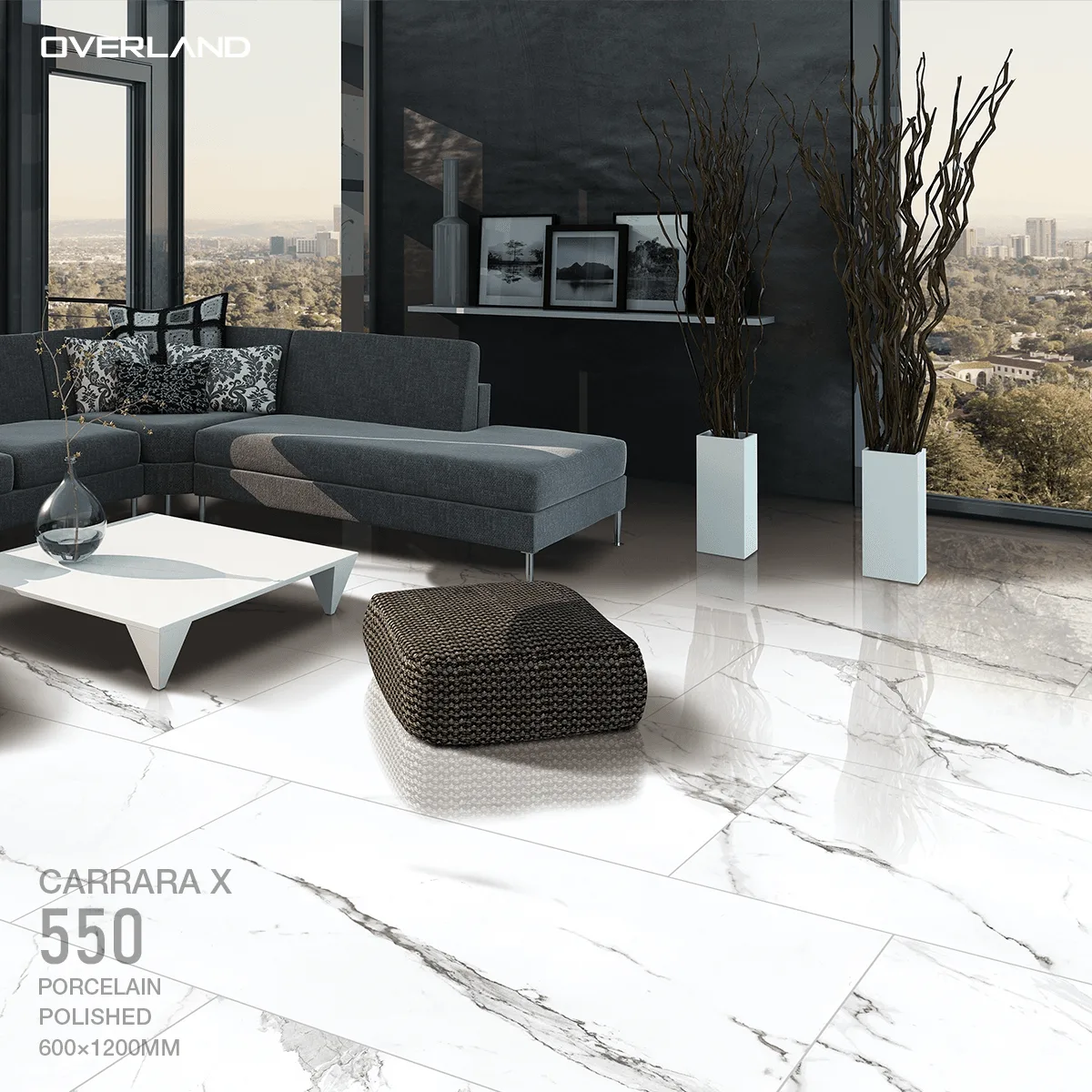 Carrara X - 550 - Image 2