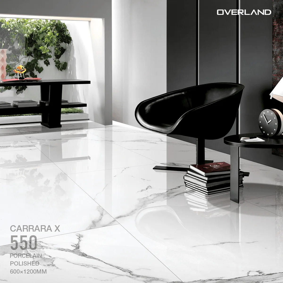 Carrara X - 550 - Image 3